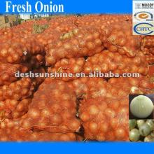 Hot Sale 2012 Grade A Fresh Yellow Onion 50-70mm
