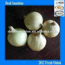 Hot Sale (4-7,6-8cm) 2012 New Corp Chinese Fresh Yellow Onions