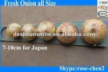 2012 New Corp Fresh Yellow Onions Exporter 4-7,5-8,7-9CM
