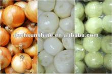 Export 2012 New crop fresh peeled yellow onion price