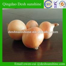 hot sale Chiese fresh onion price