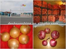 2012 chinese new crop  fresh   white   onion 