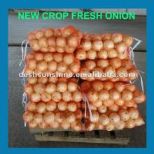 The Best New crop yellow onion price 2012