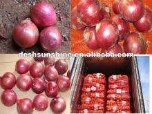 2012 New Corp Red Fresh Onions Exporter