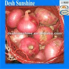 2012 New corp Fresh Red Onions Exporter