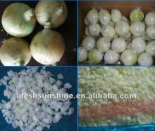 (60-80mm) Yellow Onion plants for sale 2012 Fresh Harvest