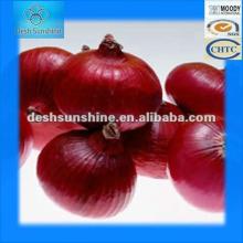 2012 New corp Fresh Red Onions Supplier 40-70mm