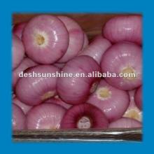 2012 new crop chinese peeled red onion(filled nitrogen)