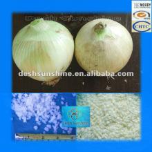 (60-80mm) Hot sale Fresh Yellow Onions plants 2012 Harvest