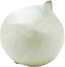 export 2012 now crop fresh white samll onion