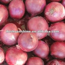 Types red onion 2012 crop