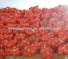 Export new crop china onion
