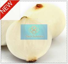 Hot sale fresh white onion