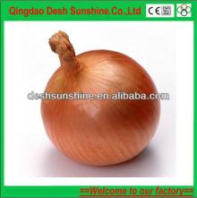 2013 Gansu new crop fresh yellow onion