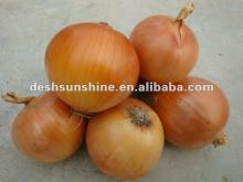 New crop fresh yellow onion,6--8cm