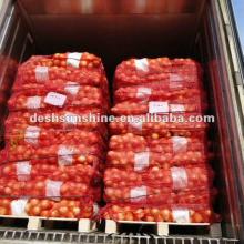 2012  New  crop onion  container (60mm)