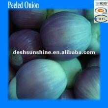 Selling top quality onion varieties