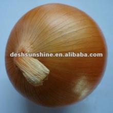 2012 New crop fresh yellow onion(60mm)