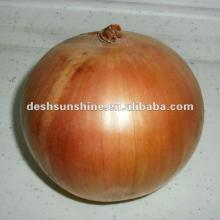 Export 2012 new crop  fresh   green  onion