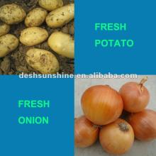 Supply 2012 new crop onions and potatoes
