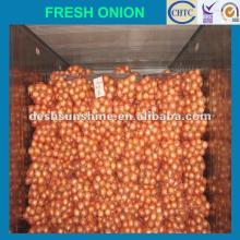 Chinese Grade A onion storage containers