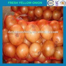2012 chinese new crop fresh onion for sale