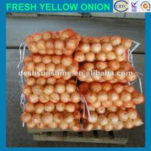 Chinese Grade A the best onion price 2012