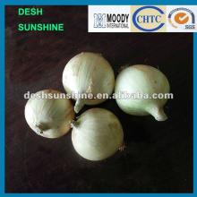 2012 New crop chinese fresh yellow onion 7cm