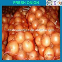 fresh onion crop 2012,good quality,cheap price