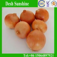 Export 2012 new corp hot sale fresh onion price