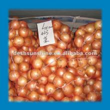 2012 New Crop grade A onion specification fresh