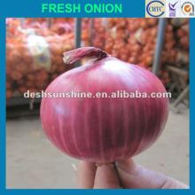 Grade A 2012 red onion,good quality,cheap price