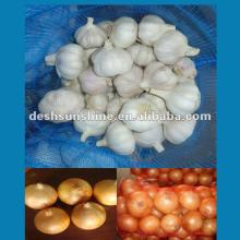 2012 New Crop Grade A Chinese onion and garlic