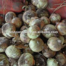 New Crop Grade A Chinese 2012 fresh yellow onion