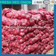 fresh red big onion producer,good quality,cheap price