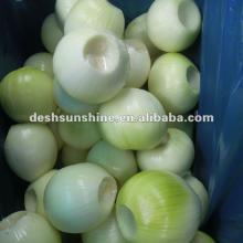 2012 New Crop peeled fresh onions(filled nitrogen)