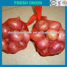 2012 new crop Grade A round fresh red onions,good quality,cheap price