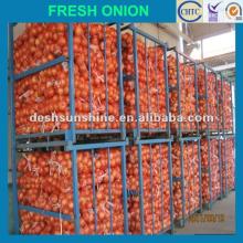 2012 New Crop onion harvester agriculture,good quality,cheap price