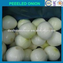 2012 New Crop fresh peeled white onion(filled nitrogen)