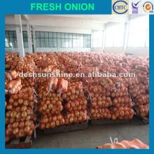 2012 New Crop chinese harvesting yellow onions,good quality,cheap price