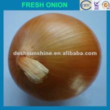 2012 New Crop onion fresh big onion,good quality,cheap price