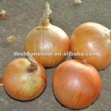 2012 New crop fresh all kinds of onions2012 New crop small onion(good quality,cheap price)