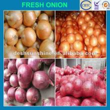 2012 New Crop chinese red yellow brown onion,good quality,cheap price