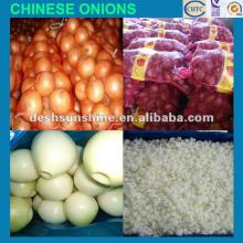 2012 New Crop Chinese  types  of  onions ,good quality,cheap price