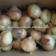 2012 New Crop Grade A Chinese the best  yellow   onion   price 