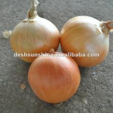 2012 new crop fresh white onion,good quality cheap price
