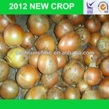 2013 New Crop Grade A Chinese fresh yellow 7-9 cm onion