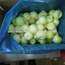 2012 New Crop fresh  chinese   peeled   onion (filled nitrogen)