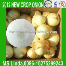 2013 New Crop Grade A Chinese fresh yellow 9 cm onion