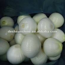 2012 New Crop fresh peeled yellow onion(filled nitrogen)